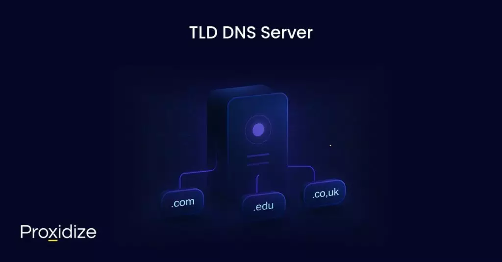 a drawing representing a TLD DNS server